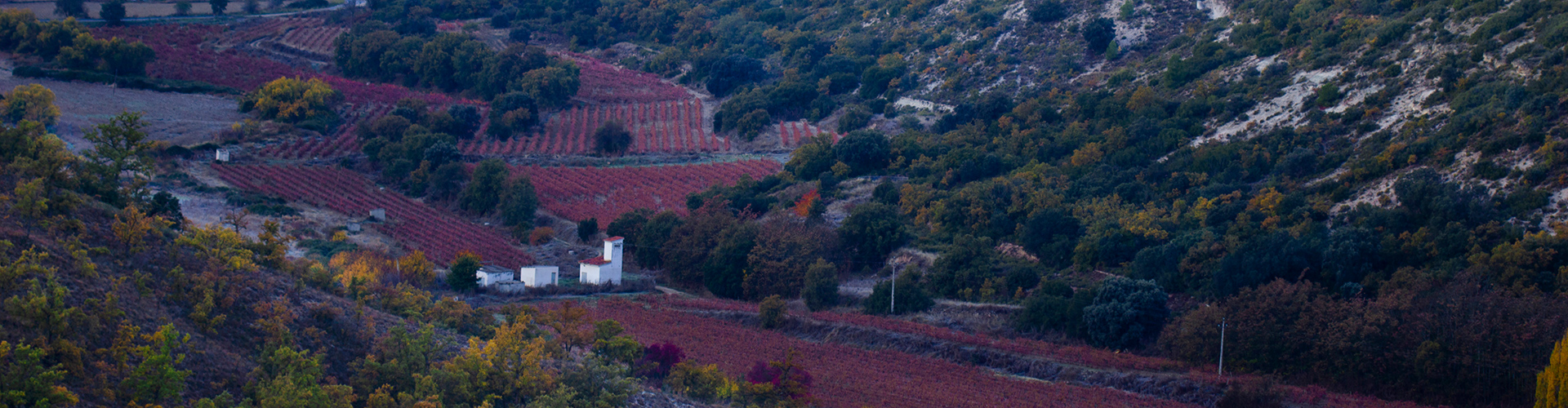 Paisaje-Olmeda-de-las-Fuentes